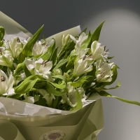 Монобукет из альстромерии