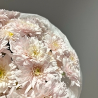 Монобукет из кустовой хризантемы