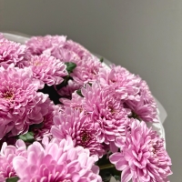 Монобукет из кустовой хризантемы