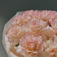 Моно из розы Esperance