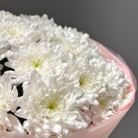 Монобукет из кустовой хризантемы