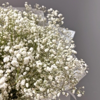 Монобукет из гипсофилы