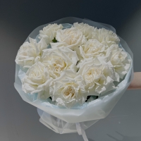 Моно из розы Playa Blanca