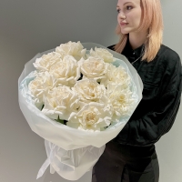 Моно из розы Playa Blanca