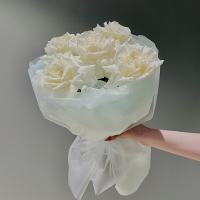 Моно из розы Playa Blanca