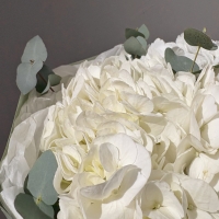 Монобукет из гортензии и эвкалипта