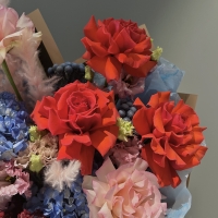 Коралловый риф