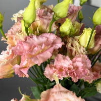 Новый товар