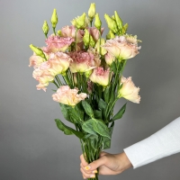 Новый товар