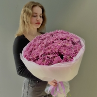 Моно из хризантемы