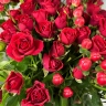 Букет с розами, гиперикумом и рускусом