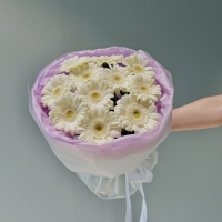 Моно из герберы