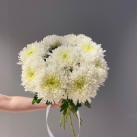 9 белых хризантем
