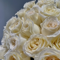 Букет из 25 Эквадорских роз