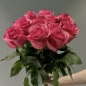 Букет из 11 Эквадорских роз