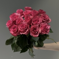 Букет из 15 Эквадорских роз