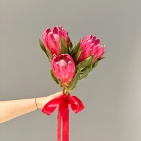 Монобукет из протеи